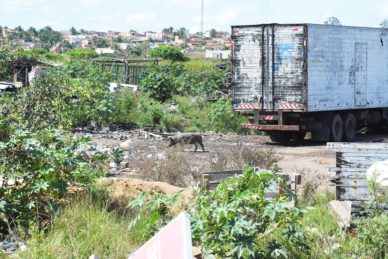 Foto: Reprodução/Prefeitura de Feira de Santana - BA